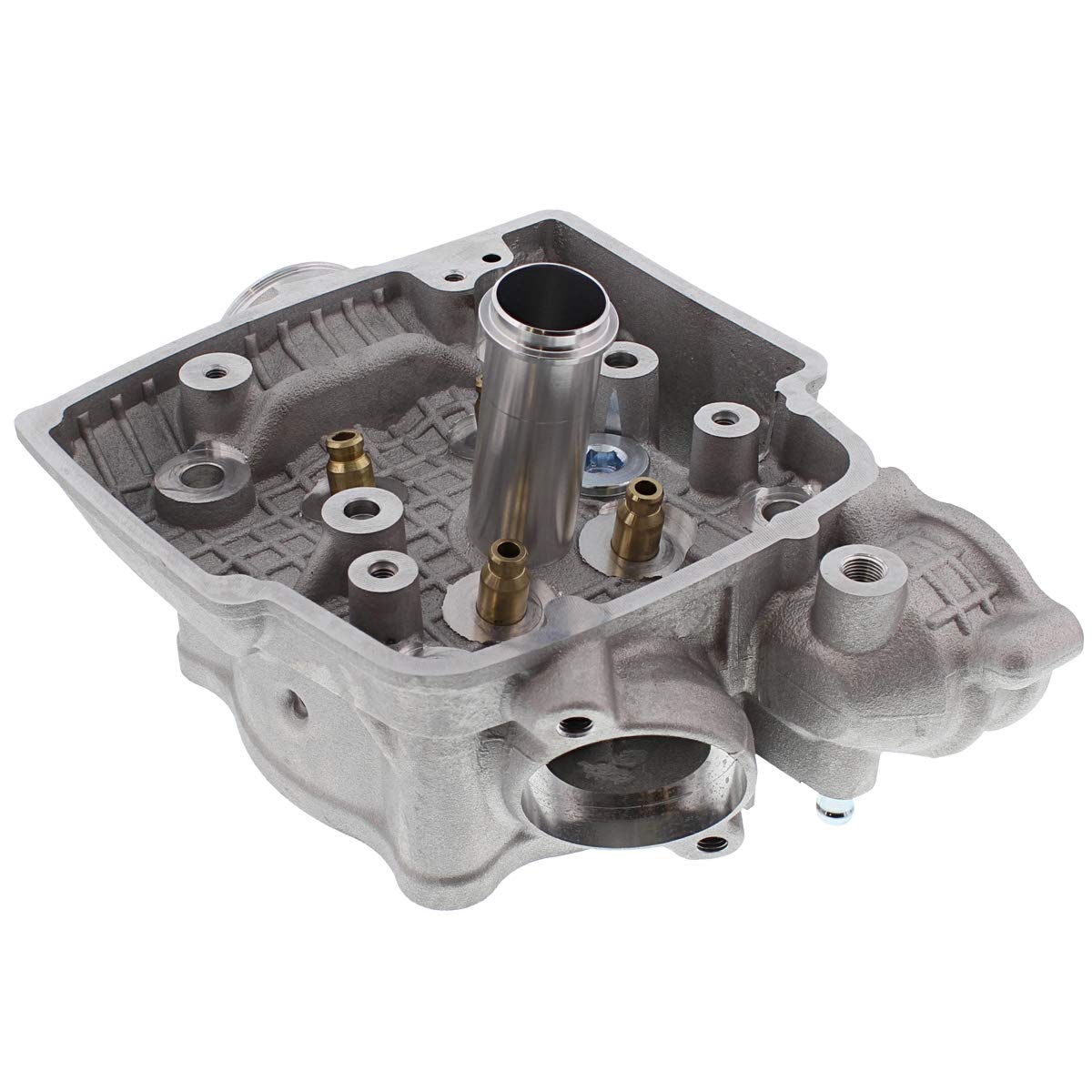 Amazon.com: Cylinder Works Cylinder Head Kit for Honda ATV TRX 450